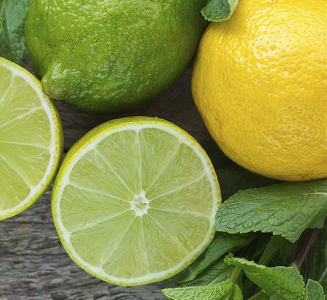 juicedry-lemonlime close up of lemon and lime slices
