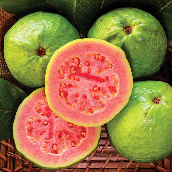 Tropical_600x600 tropical flavors